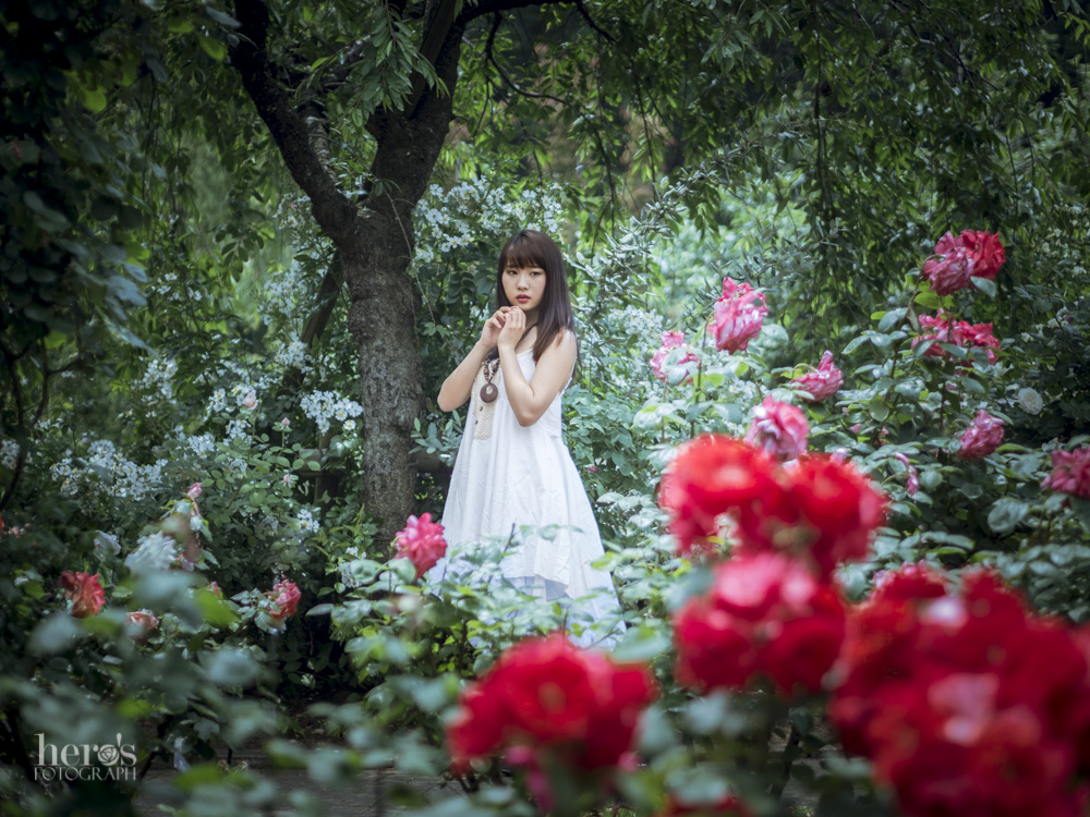 Roses La Foret 薔薇の森 りぃちゃん 朝花和りぃこ 薔薇ポートレート Hero S Fotograph
